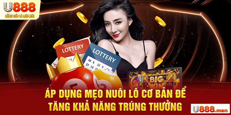 Nuôi Lô Khung 7 Ngày Là Gì? Kinh Nghiệm Nuôi Lô Đẳng Cấp Áp dụng mẹo nuôi lô cơ bản để tăng khả năng trúng thưởng